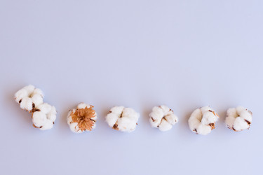 Similar image 13281673