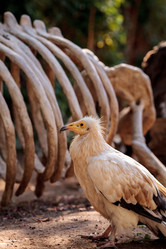 Similar image 13273572