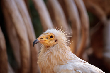 Similar image 13273573