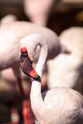 Similar image 13273619