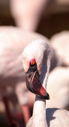 Similar image 13273621