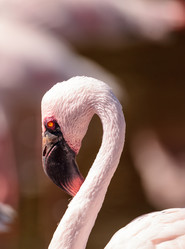 Similar image 13273650