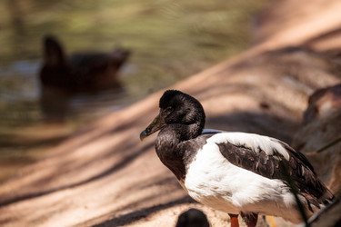 Similar image 13273652