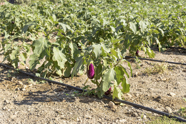 Similar image 13276928