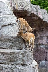 Similar image 13277169