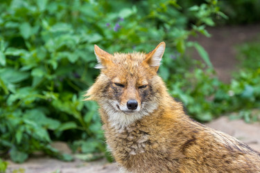 Similar image 13277171