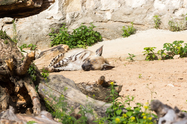 Similar image 13277172