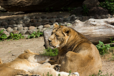 Similar image 13277173