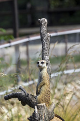 Similar image 13277176