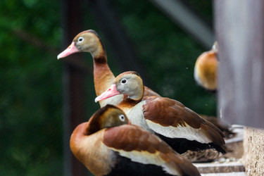 Similar image 13277179