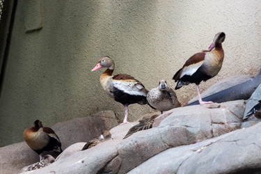 Similar image 13277206