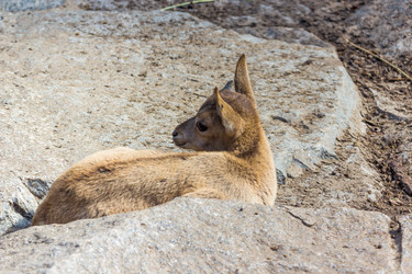 Similar image 13277217