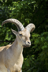 Similar image 13277219