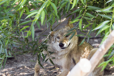 Similar image 13277235