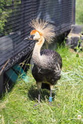 Similar image 13277238