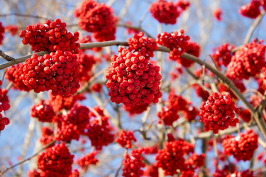 Similar image 13285906