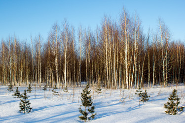 Similar image 13286123