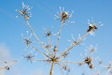 Similar image 13286669