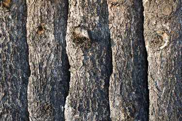 Similar image 13286672