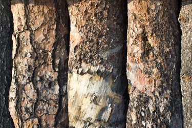 Similar image 13286675