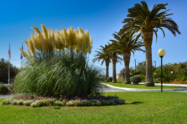 Similar image 13283706