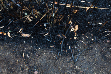 Similar image 13273529