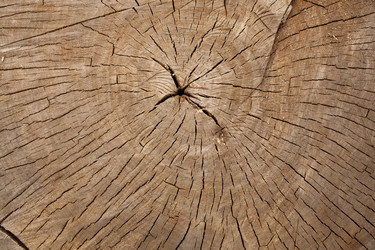 Similar image 13273553