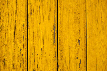 Similar image 13273556