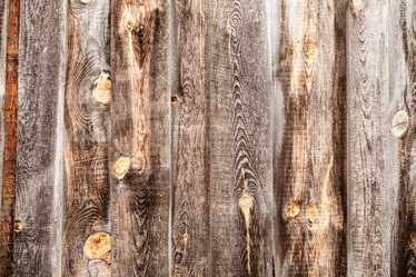 Similar image 13273558