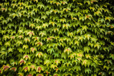 Similar image 13273559