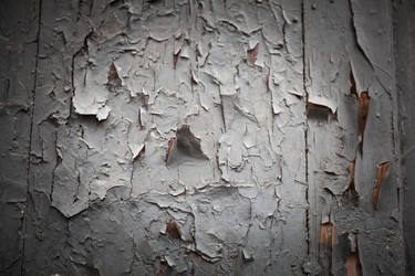 Similar image 13273560