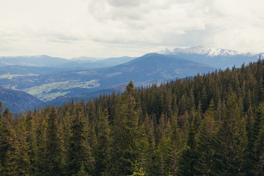 Similar image 13273561