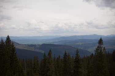 Similar image 13273563