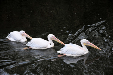 Similar image 13274141