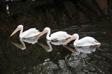 Similar image 13274142