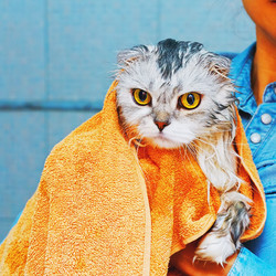 Similar image 13275423