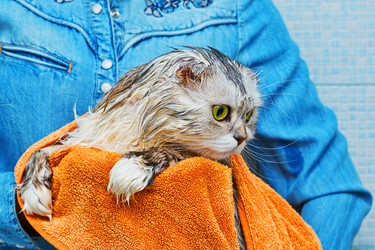 Similar image 13275424