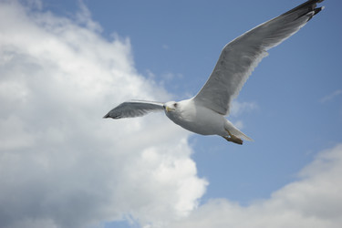 Similar image 13274145