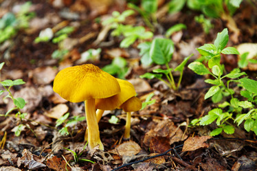 Similar image 13275483