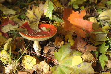 Similar image 13274146