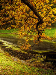 Similar image 13274098