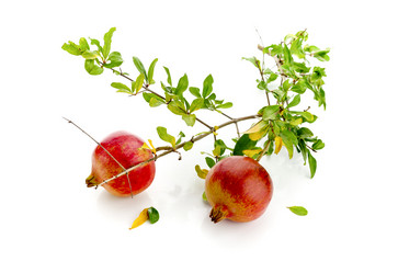 Similar image 13276930