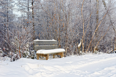 Similar image 13274080