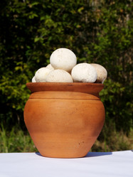 Similar image 13279837