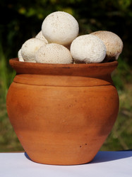 Similar image 13279838