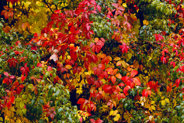 Similar image 13274333