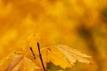 Similar image 13274334