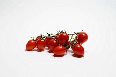 Similar image 13274378