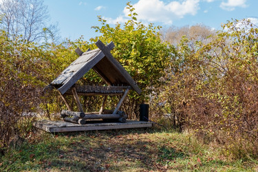 Similar image 13274162