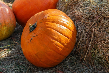 Similar image 13274164